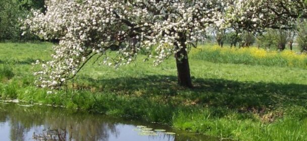 Midzomeravondrit staat klaar en inschrijving is geopend!