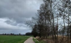 KLIP I gecontroleerd