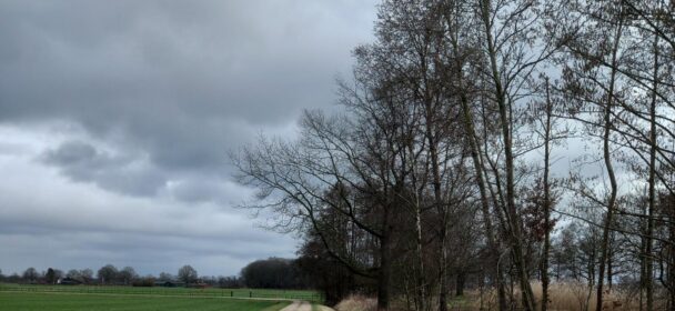 KLIP I gecontroleerd