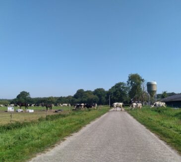 Te laat met inschrijven voor KLIP III? Meld je dan meteen aan voor KLIP IV!