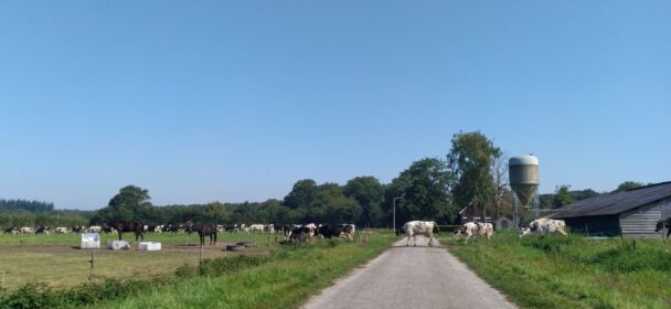 Te laat met inschrijven voor KLIP III? Meld je dan meteen aan voor KLIP IV!